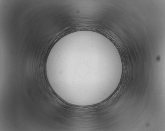 X0000116510425201001201449