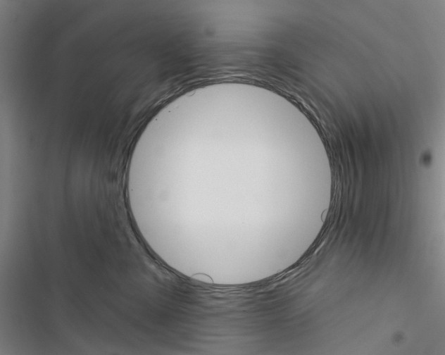 X0000116510427201001201449