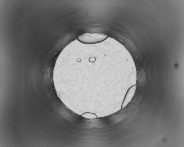 X0000116510428201001201449