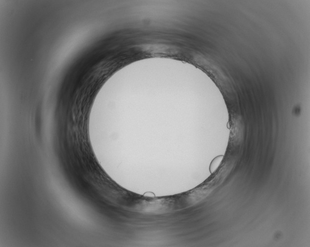 X0000116510430201001201449