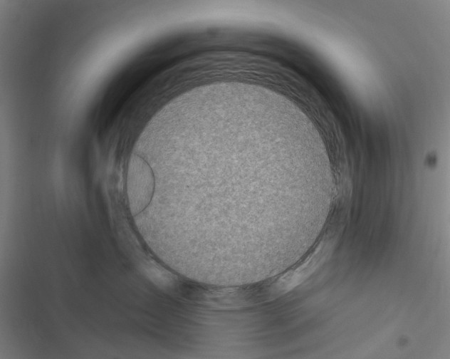 X0000116510431201001201449