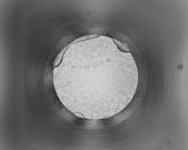 X0000116510432201001201449
