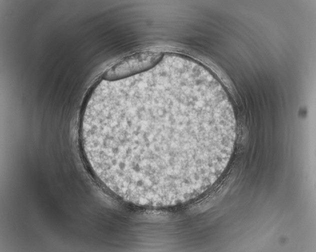 X0000116510437201001201448