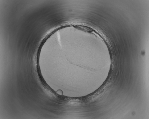 X0000116510438201001201448