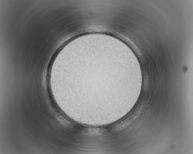 X0000116510439201001201448