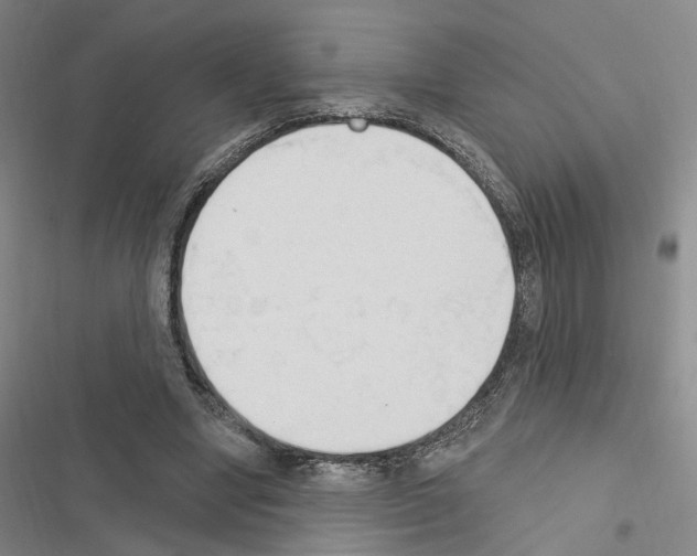 X0000116510442201001201448