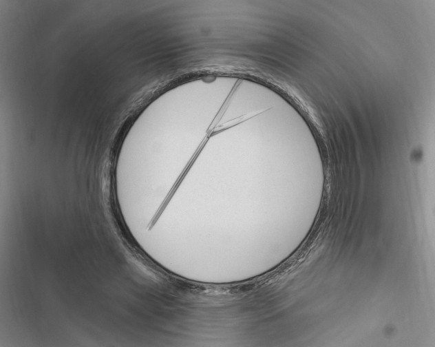 X0000116510445201001201448