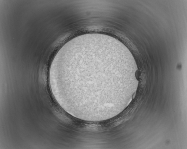 X0000116510446201001201448
