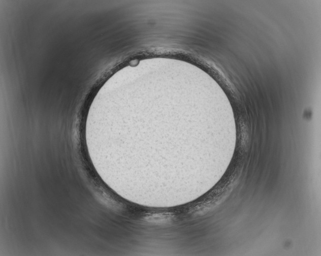 X0000116510447201001201448