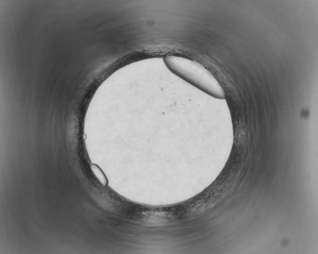 X0000116510448201001201448
