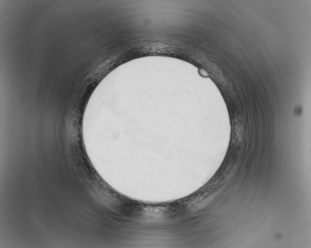 X0000116510450201001201448