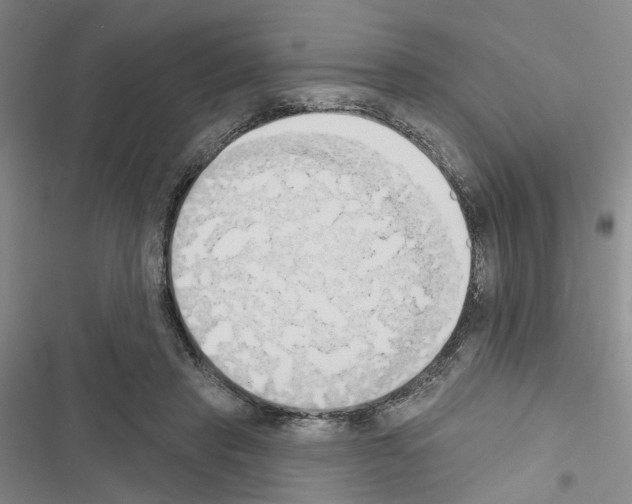 X0000116510453201001201448