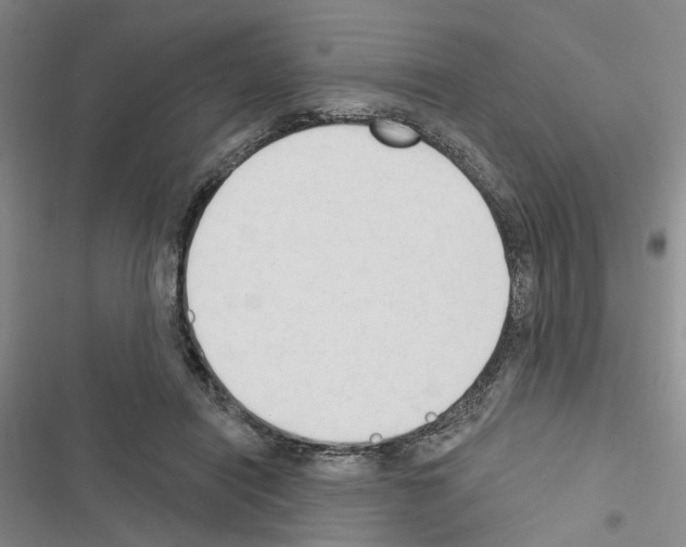 X0000116510454201001201448