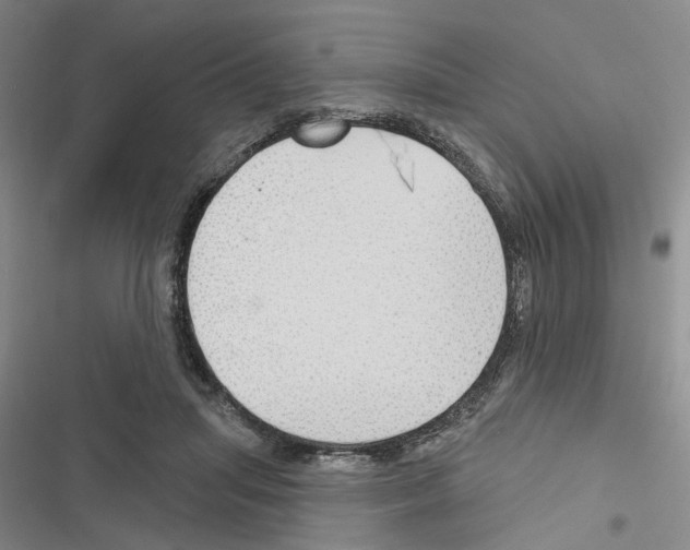 X0000116510455201001201448