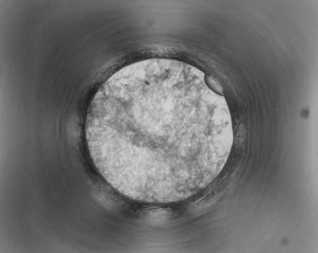X0000116510456201001201448