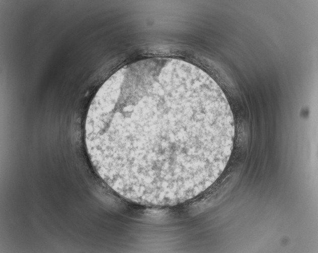 X0000116510457201001201448