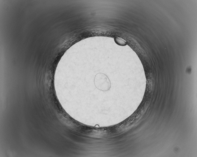X0000116510458201001201449