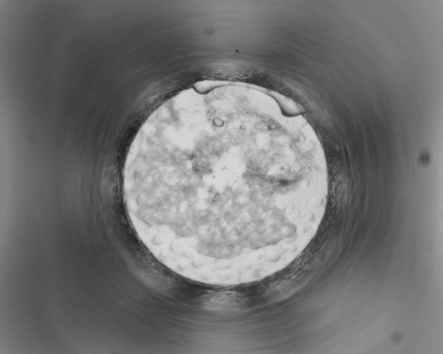 X0000116510459201001201449