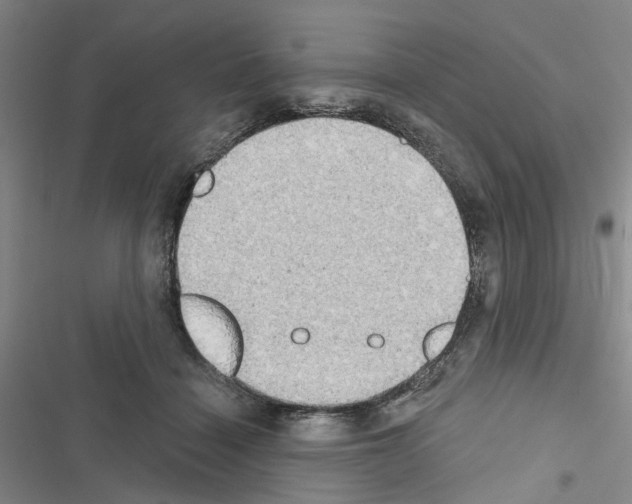 X0000116510460201001201449