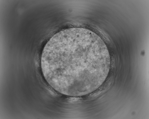 X0000116510465201001201449