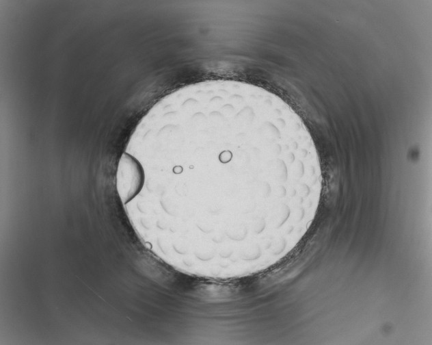 X0000116510466201001201449