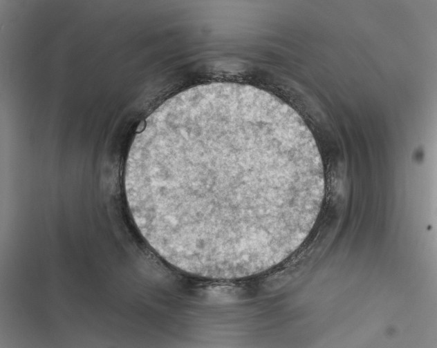 X0000116510468201001201449