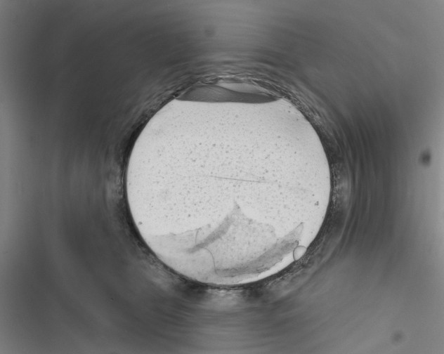 X0000116510469201001201449