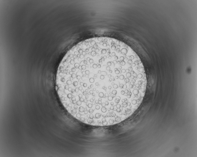 X0000116510470201001201449