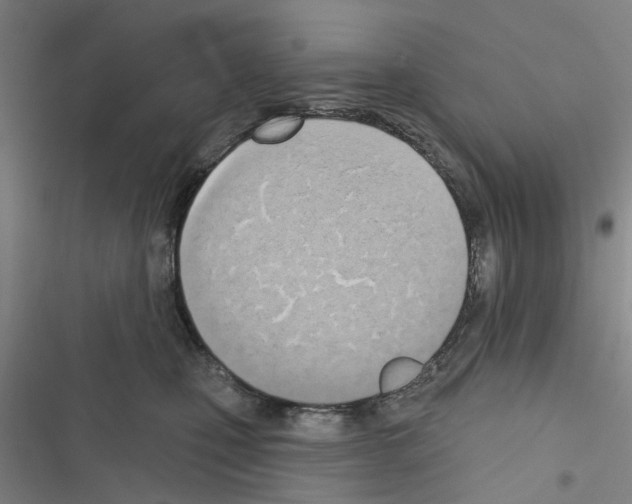 X0000116510471201001201449