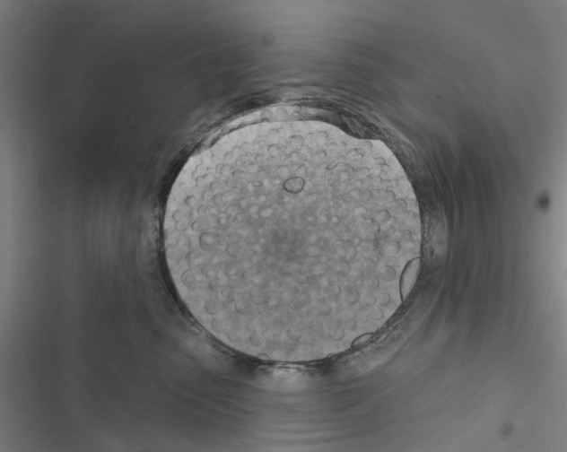 X0000116510475201001201449
