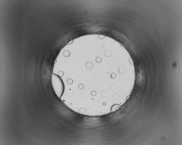 X0000116510476201001201449