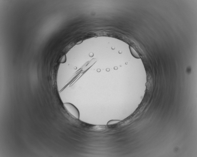 X0000116510477201001201449