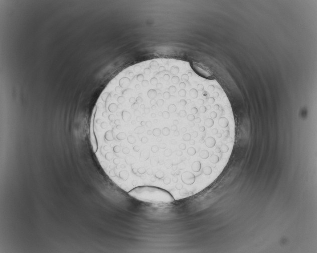 X0000116510478201001201449