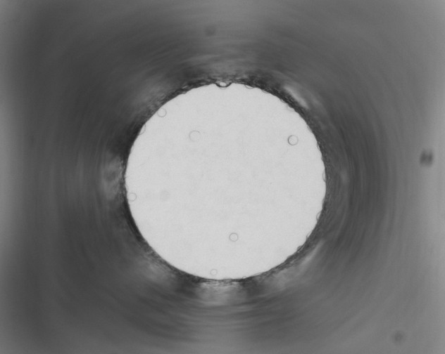 X0000116510480201001201449