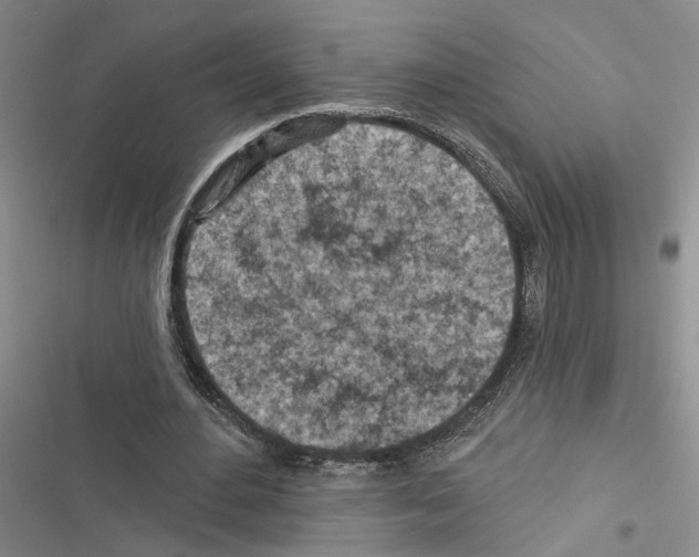 X0000116510484201001201448