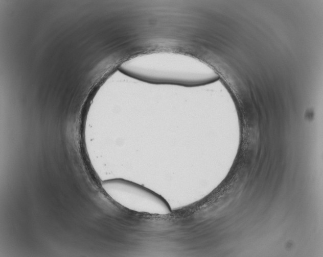 X0000116510485201001201448