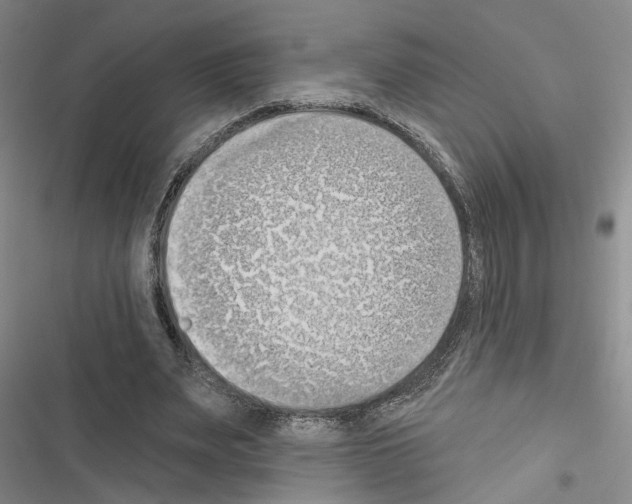 X0000116510487201001201448