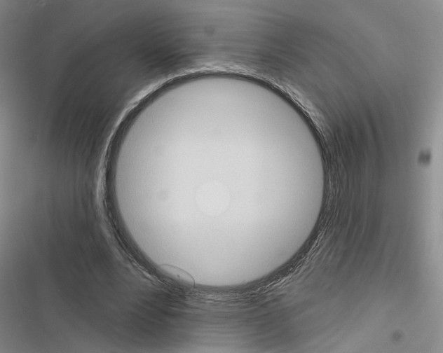 X0000116510488201001201448