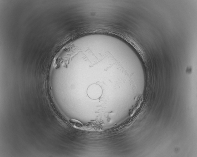 X0000116510489201001201448