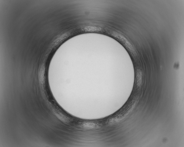 X0000116510490201001201448