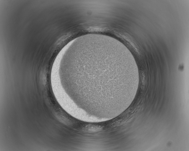 X0000116510491201001201448
