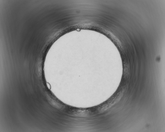 X0000116510493201001201448