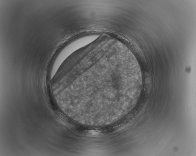 X0000116510496201001201448