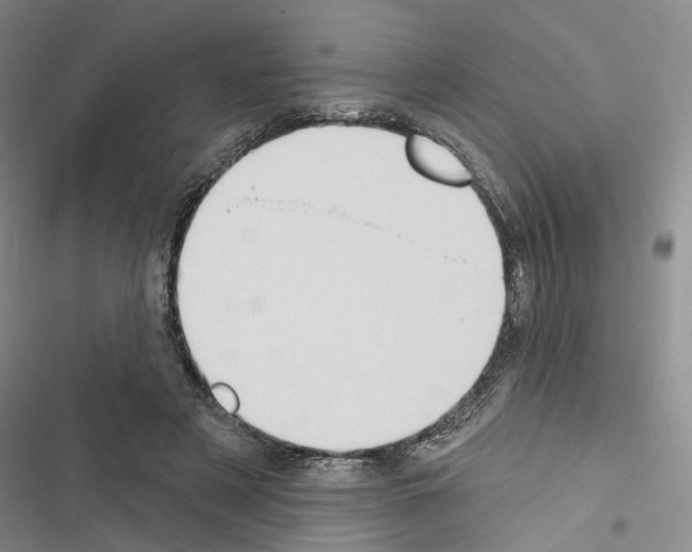 X0000116510497201001201448