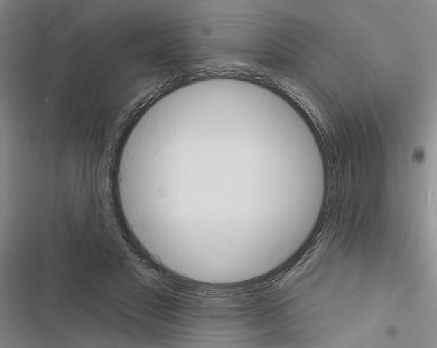 X0000116510501201001201448