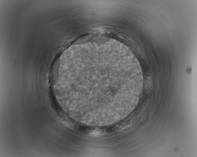 X0000116510504201001201448