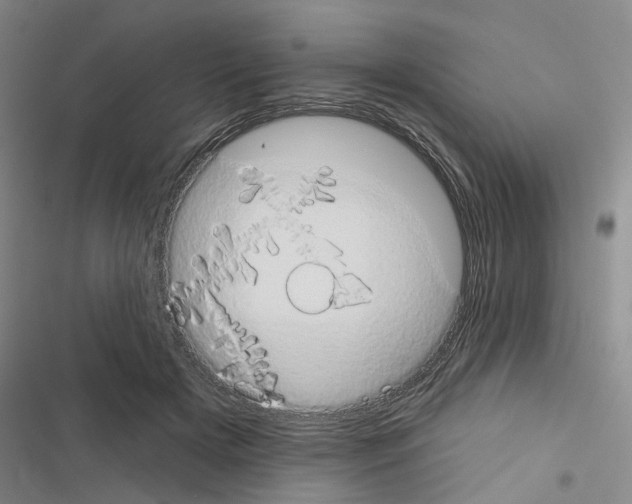 X0000116510505201001201448