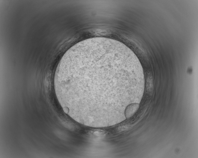 X0000116510506201001201448