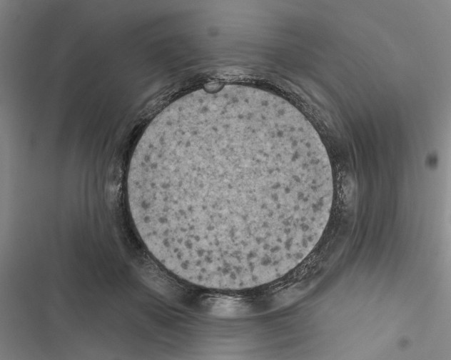 X0000116510507201001201448