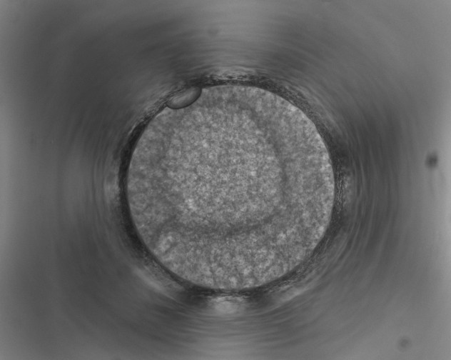 X0000116510508201001201448